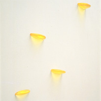 Shining Yellow detail